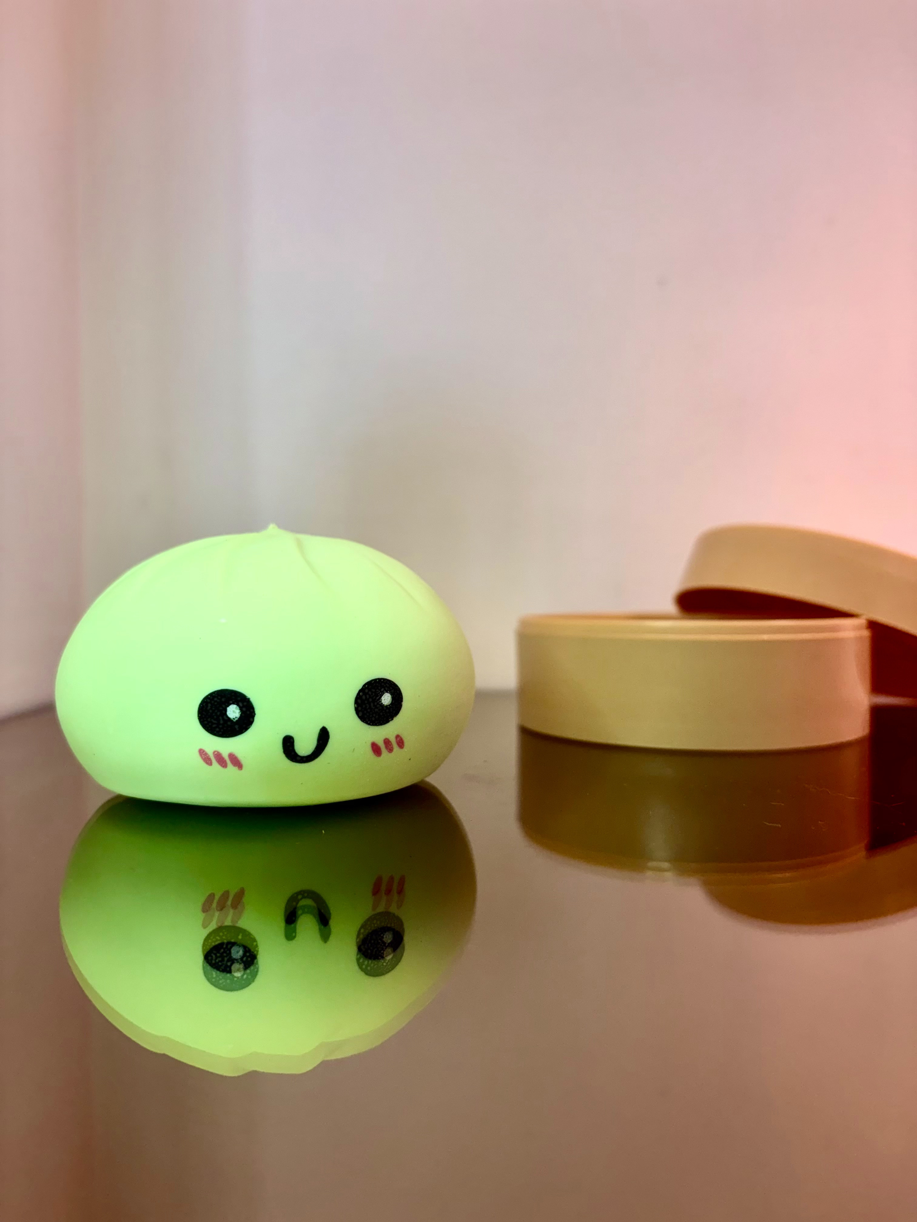 Matte Squishy Dumplings