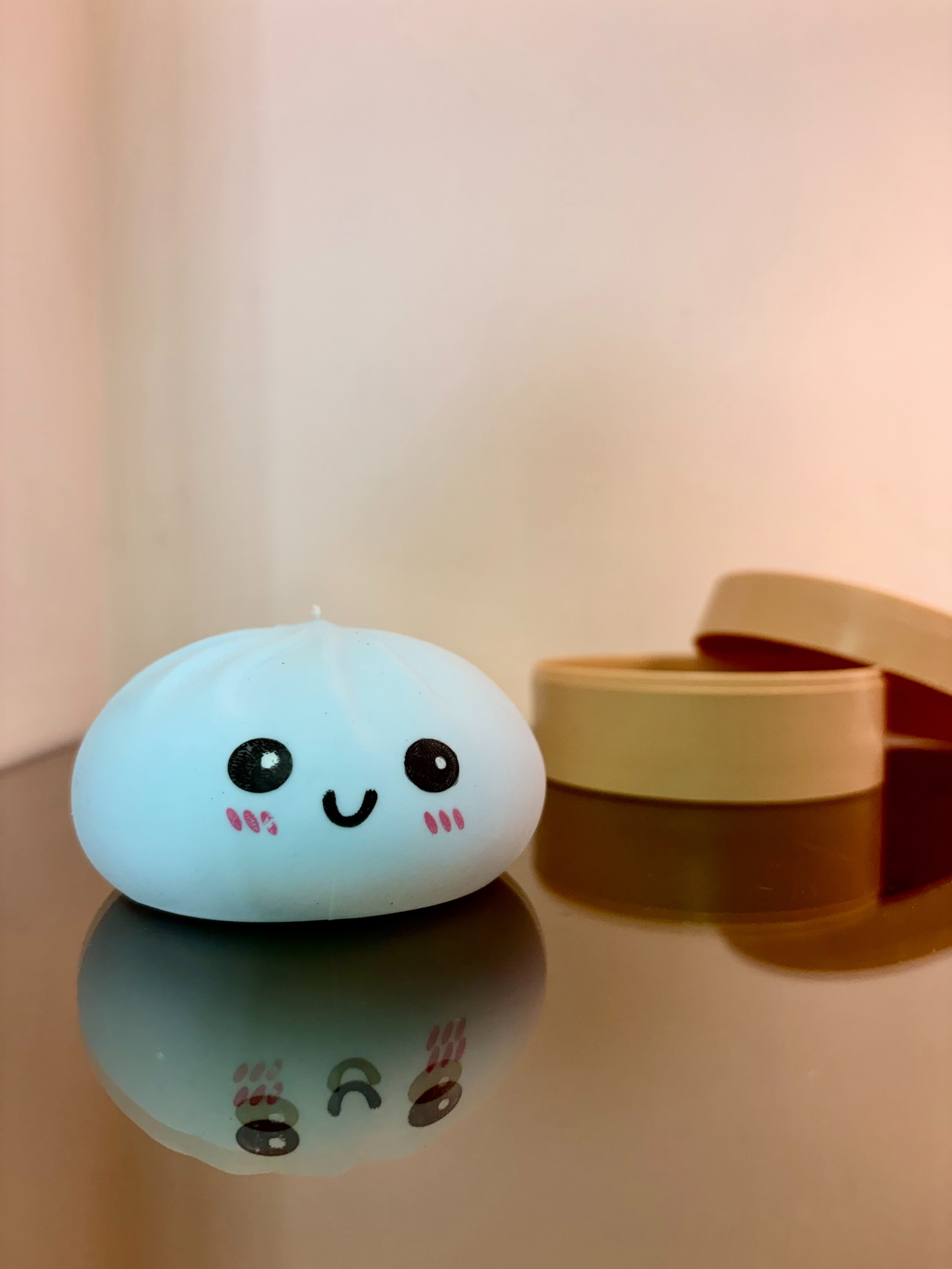 Matte Squishy Dumplings