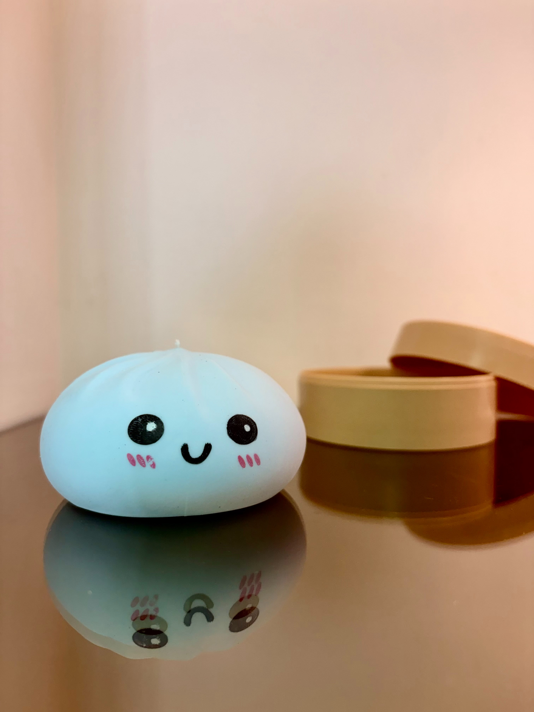Matte Squishy Dumplings