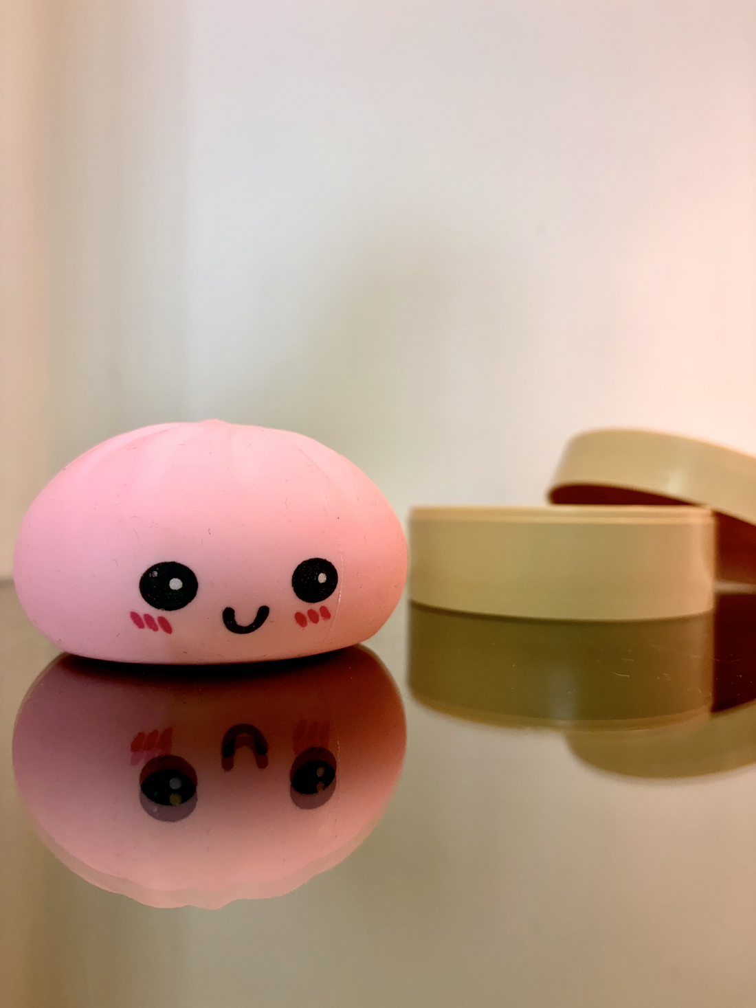Matte Squishy Dumplings